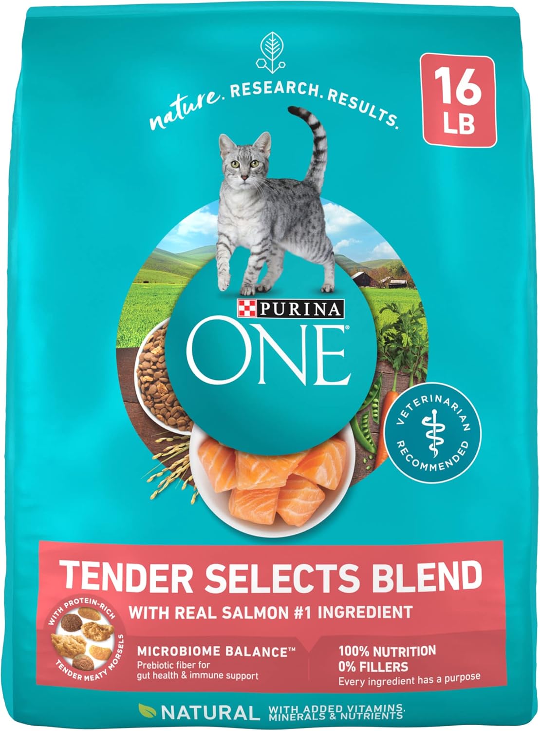 Purina ONE Tender Selects Blend Cat Food with Real Salmon 16 lb