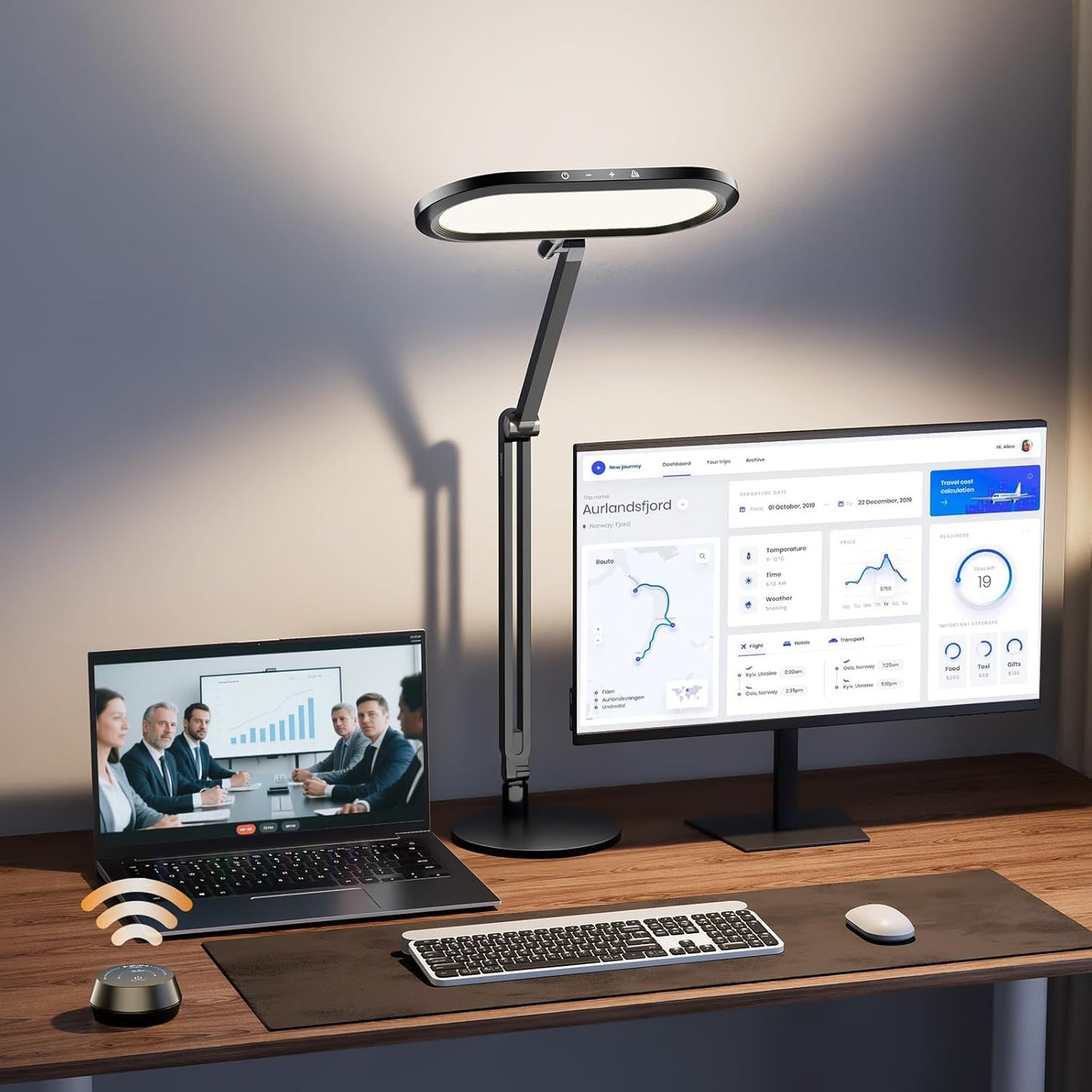 LED Desk Lamp for Home Office with Eye-Caring Double Side Light