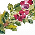 IHR Cocktail Napkins, Cranberry Wreath Design, 20-Count
