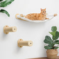 Cat Wall Hammock with Steps for Indoor Cats - Sturdy and Stylish
