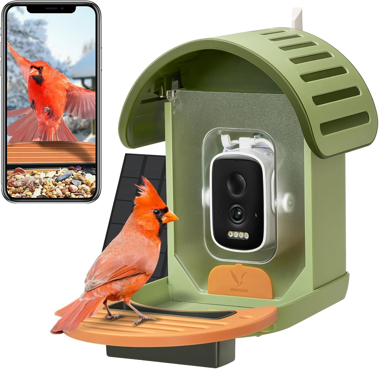 Smart Solar Bird Feeder: AI Bird Identification