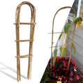 4ft U-Shape Bamboo Trellis 10 Pack - Natural Plant Support