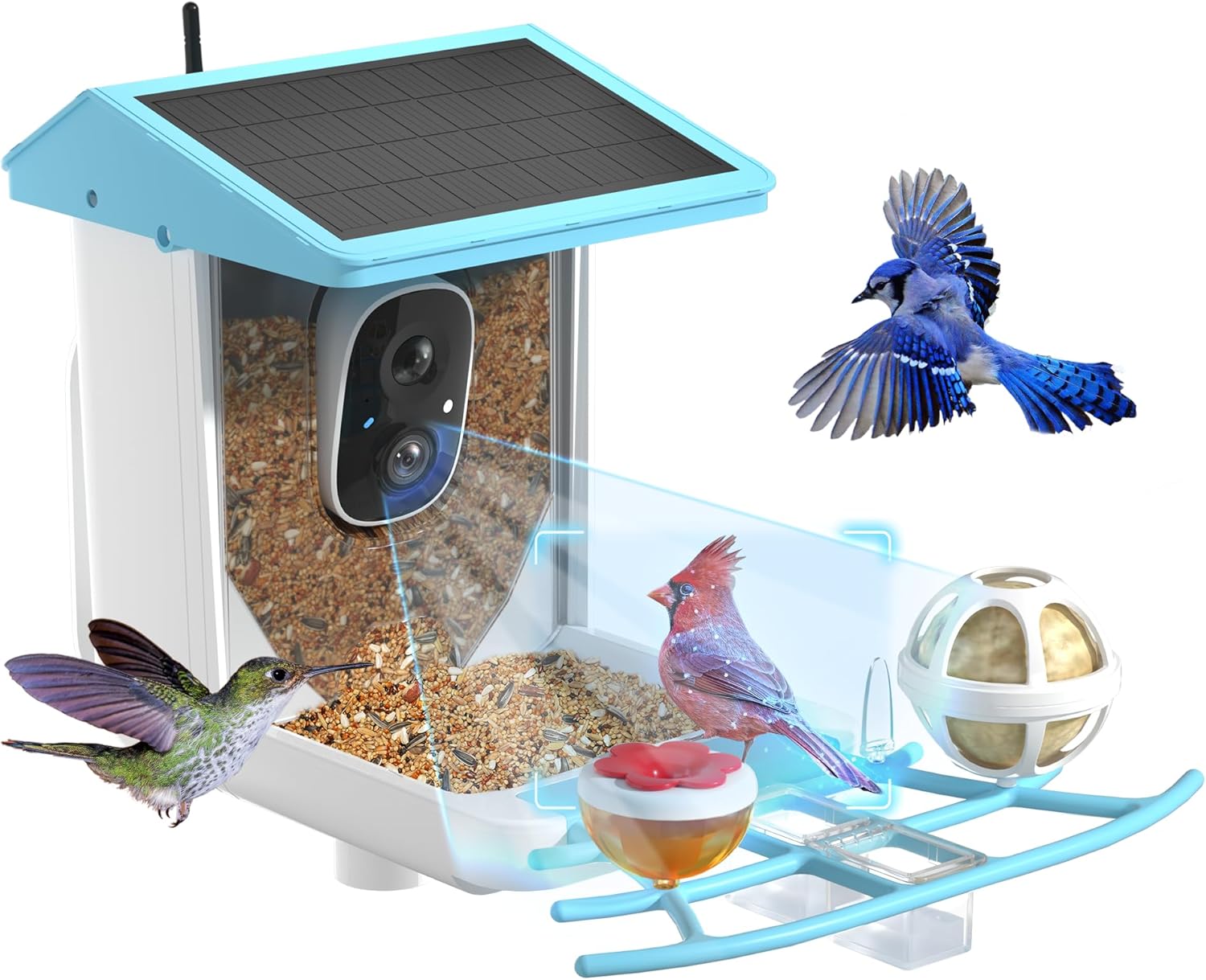 Smart Bird Feeder camera | HD Live View+Auto Record | PETCAL