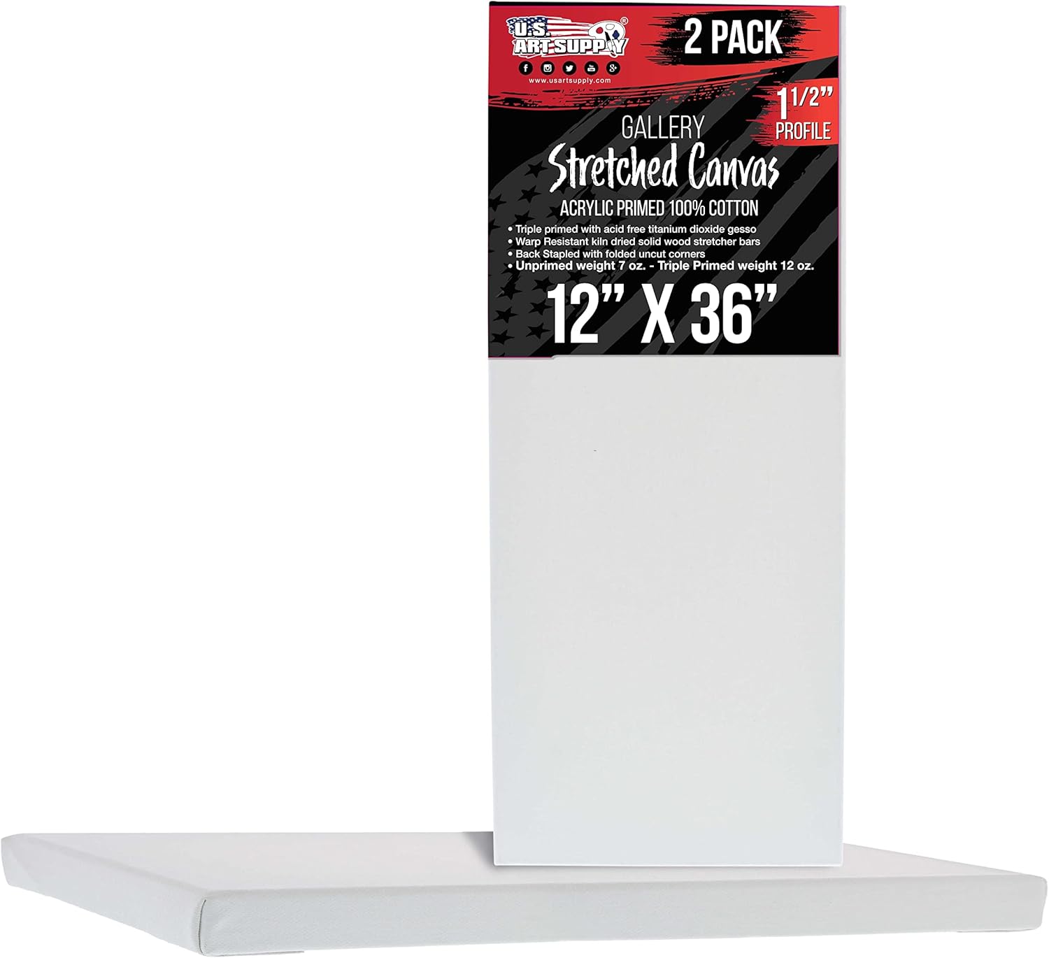 U.S. Art Supply Medium Stretched Canvas for Painting 12x36 in