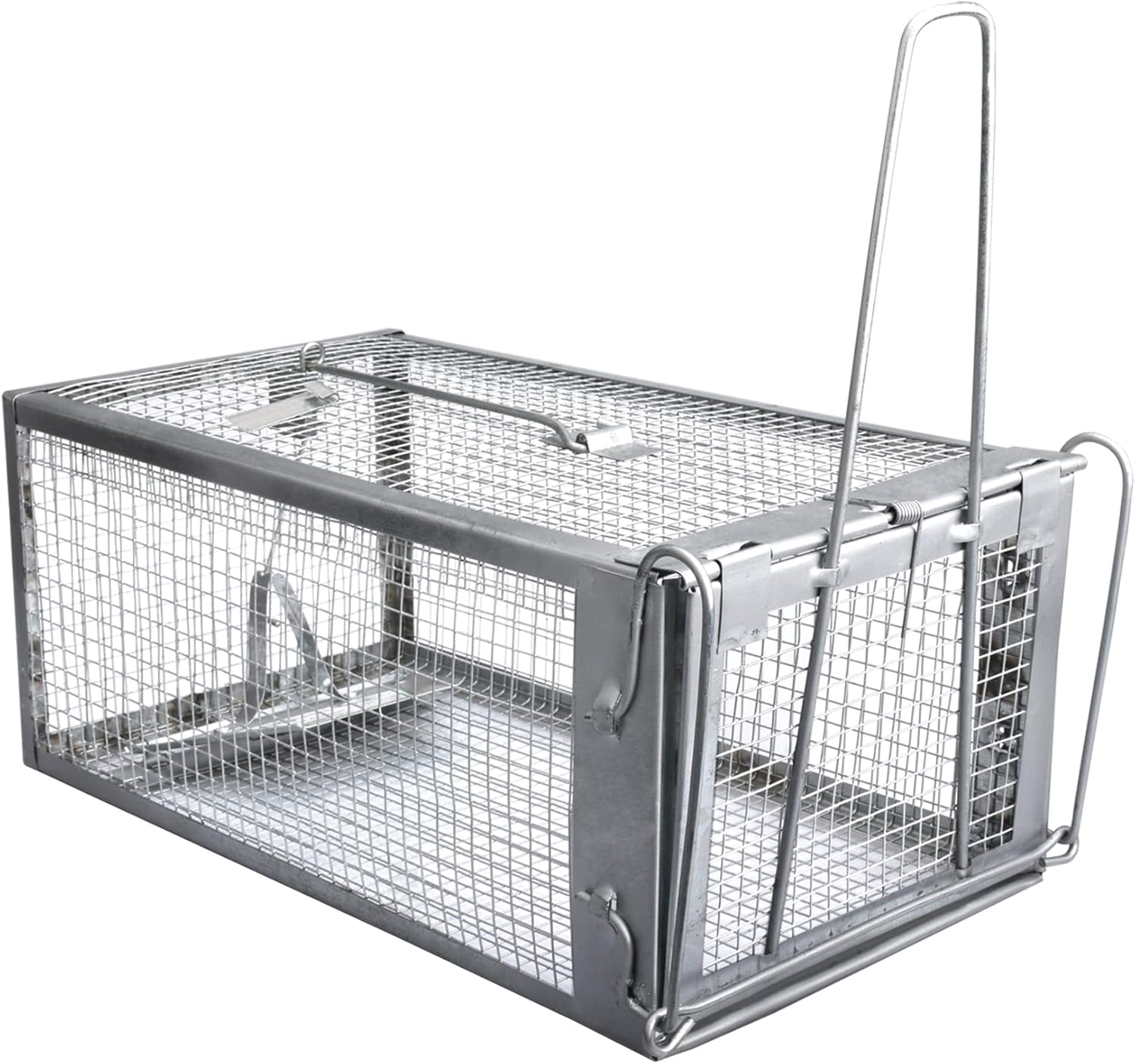 Humanely Catch Rodents with Gingbau Live Trap