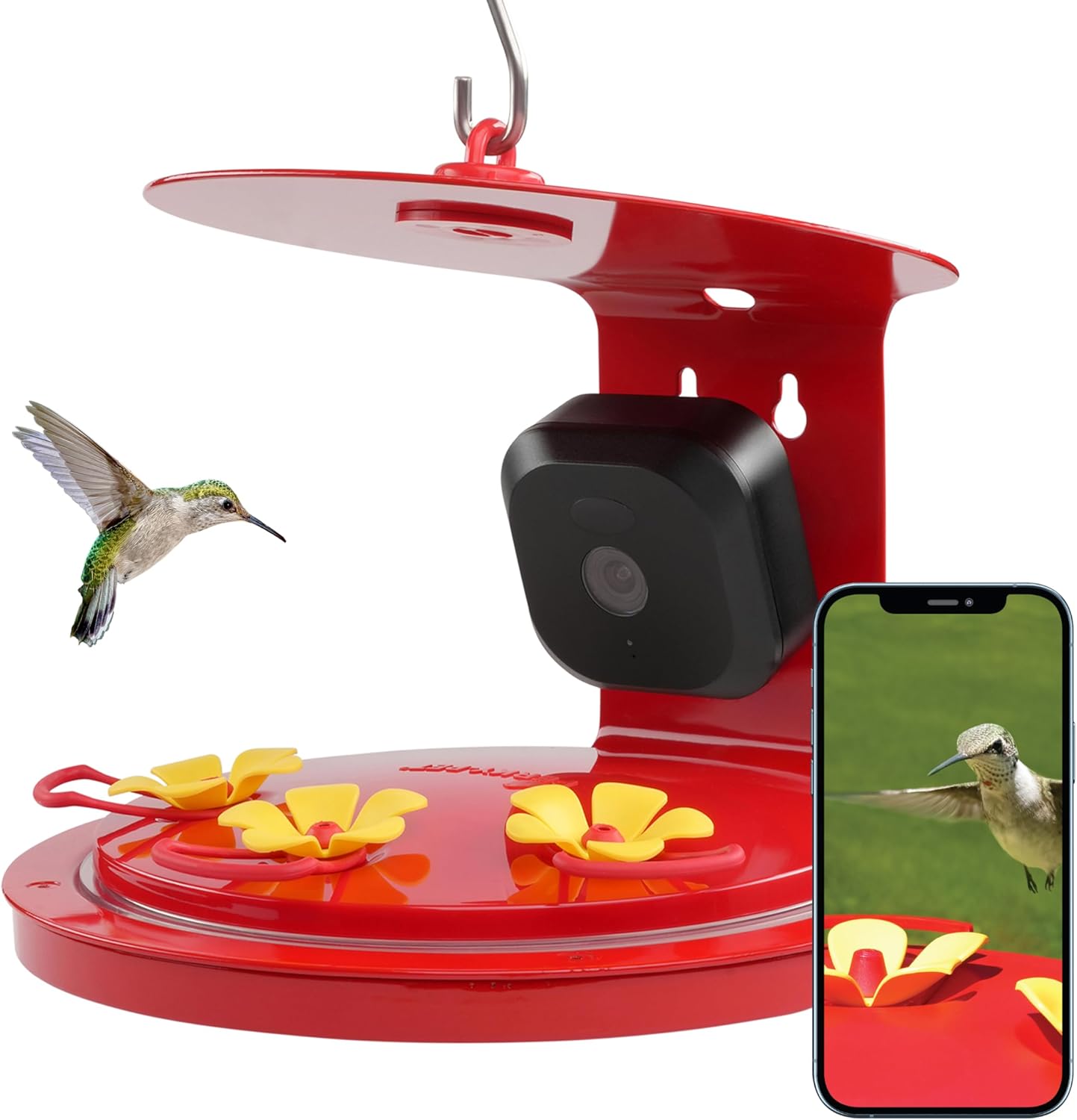 Capture Hummingbirds Live! Smart Bird Feeder with HD Camera
