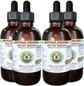 Fo-Ti Root Alcohol-Free Glycerite 4 oz - Organic Liquid Extract