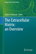 The Extracellular Matrix: an Overview - Essential ECM Primer
