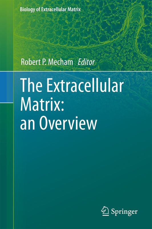 The Extracellular Matrix Overview: Essential Insights for Biology