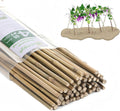 Plant Bamboo Post 4ft 65pcs Bamboo Garden Stakes - Strong Natural