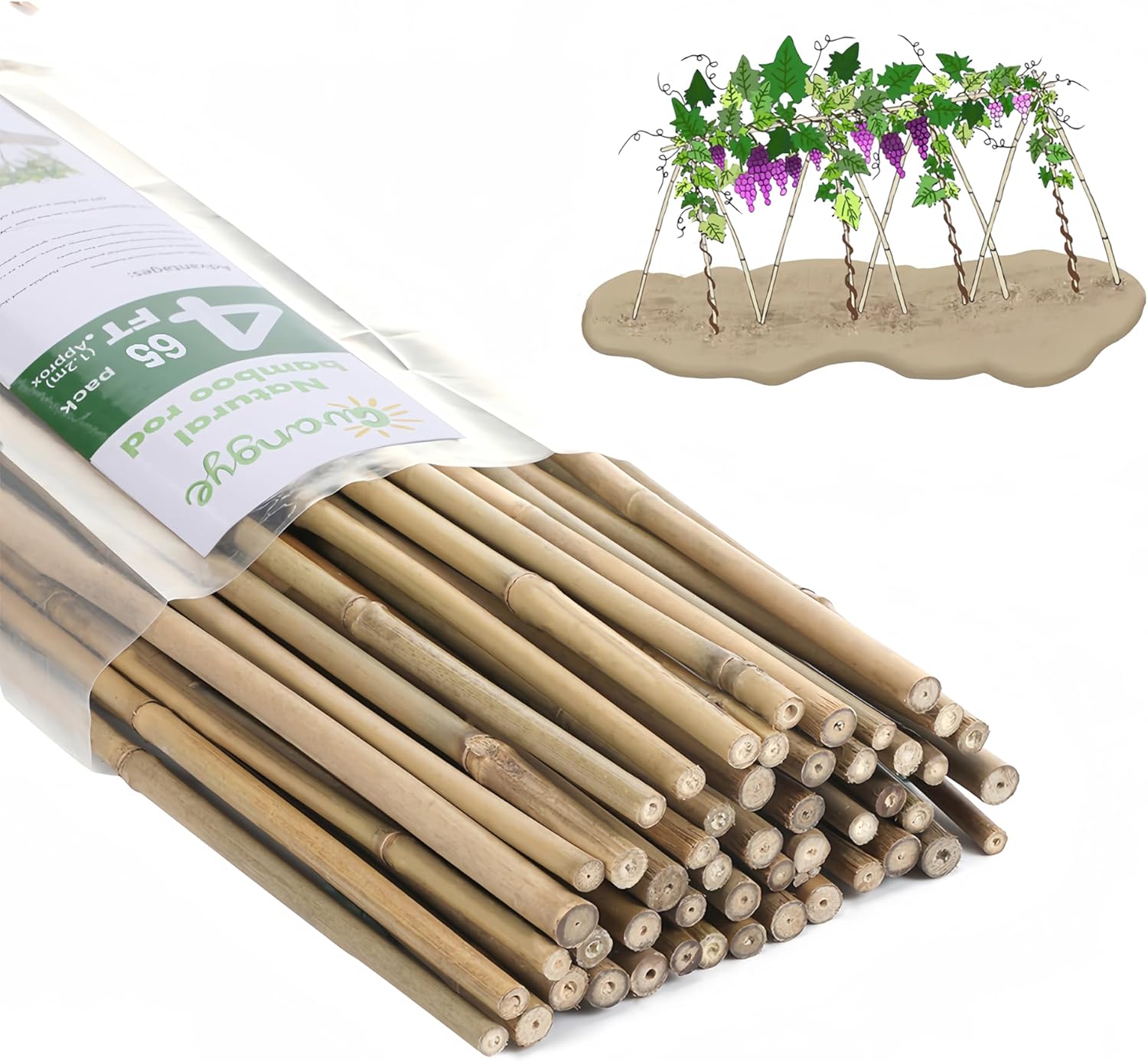 Plant Bamboo Post for Garden Stakes, 65Pcs for Climbing Plants