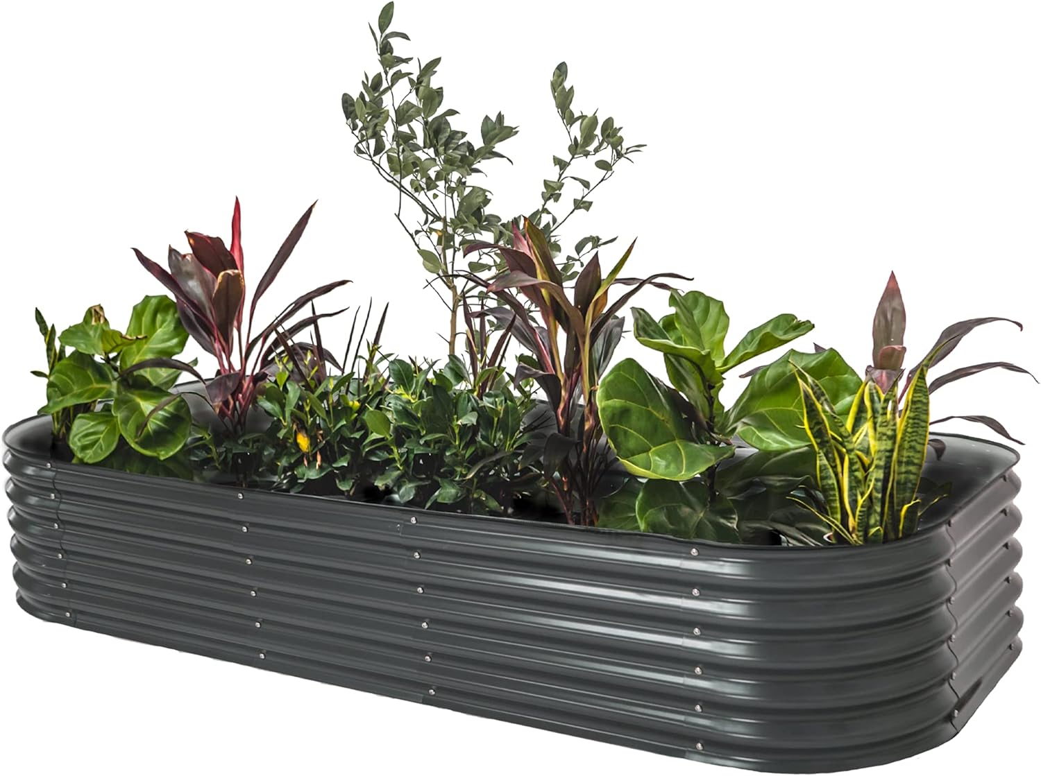 Vego Garden Raised Garden Bed Kit for Vegetables and Herbs