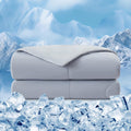 EMME Cooling Comforter Queen Size - Double-Sided Cold Fabric Comforter