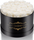 27 Piece Forever Preserved Roses in a Box for Lasting Gifts
