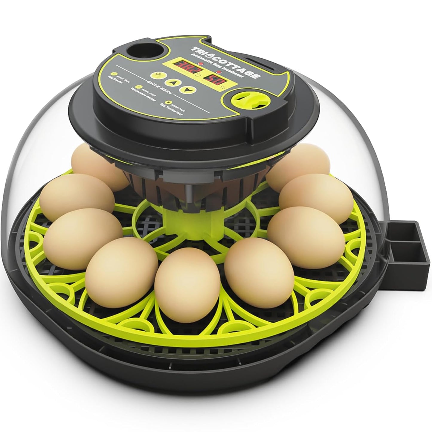 12 Egg Incubator with Automatic Egg Turning and Humidity Control