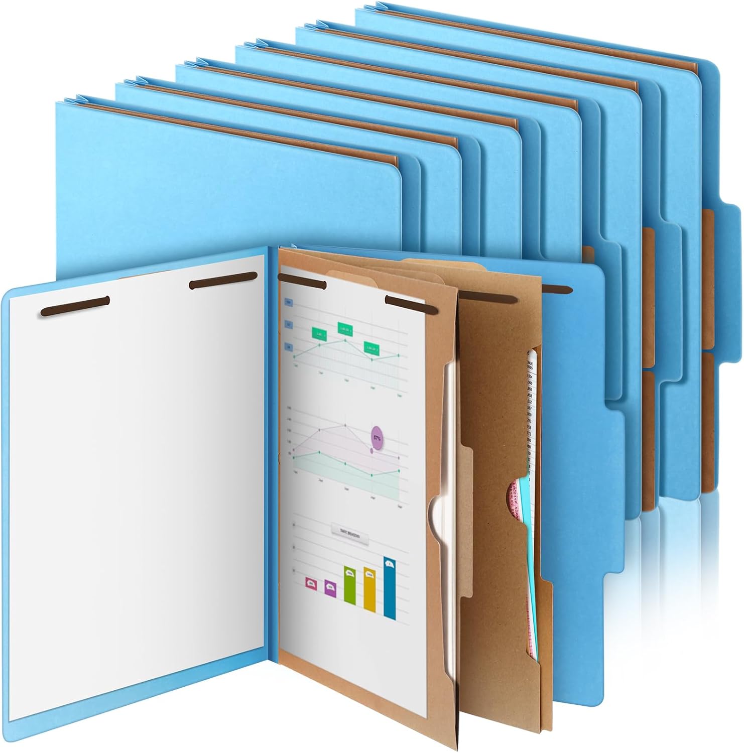 12 Pcs Classification Folders for Effective Document Organization