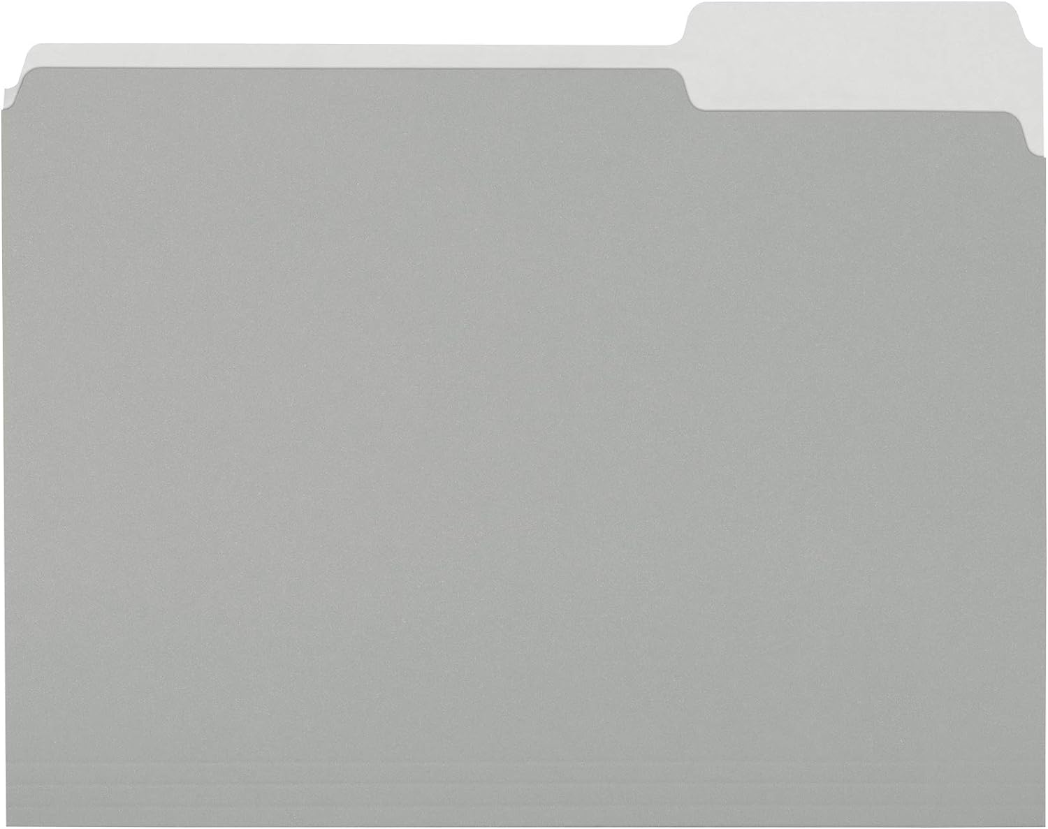 Effortlessly Organize:  Basics Gray File Folders
