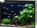 2.5 Gallon Clear Glass Fish Tank - Compact Nano Aquarium for Bettas