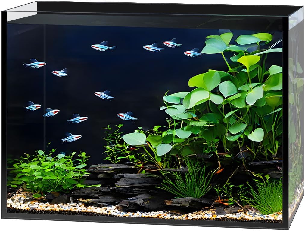 2.5 Gallon Clear Glass Fish Tank for Betta, Goldfish, and More