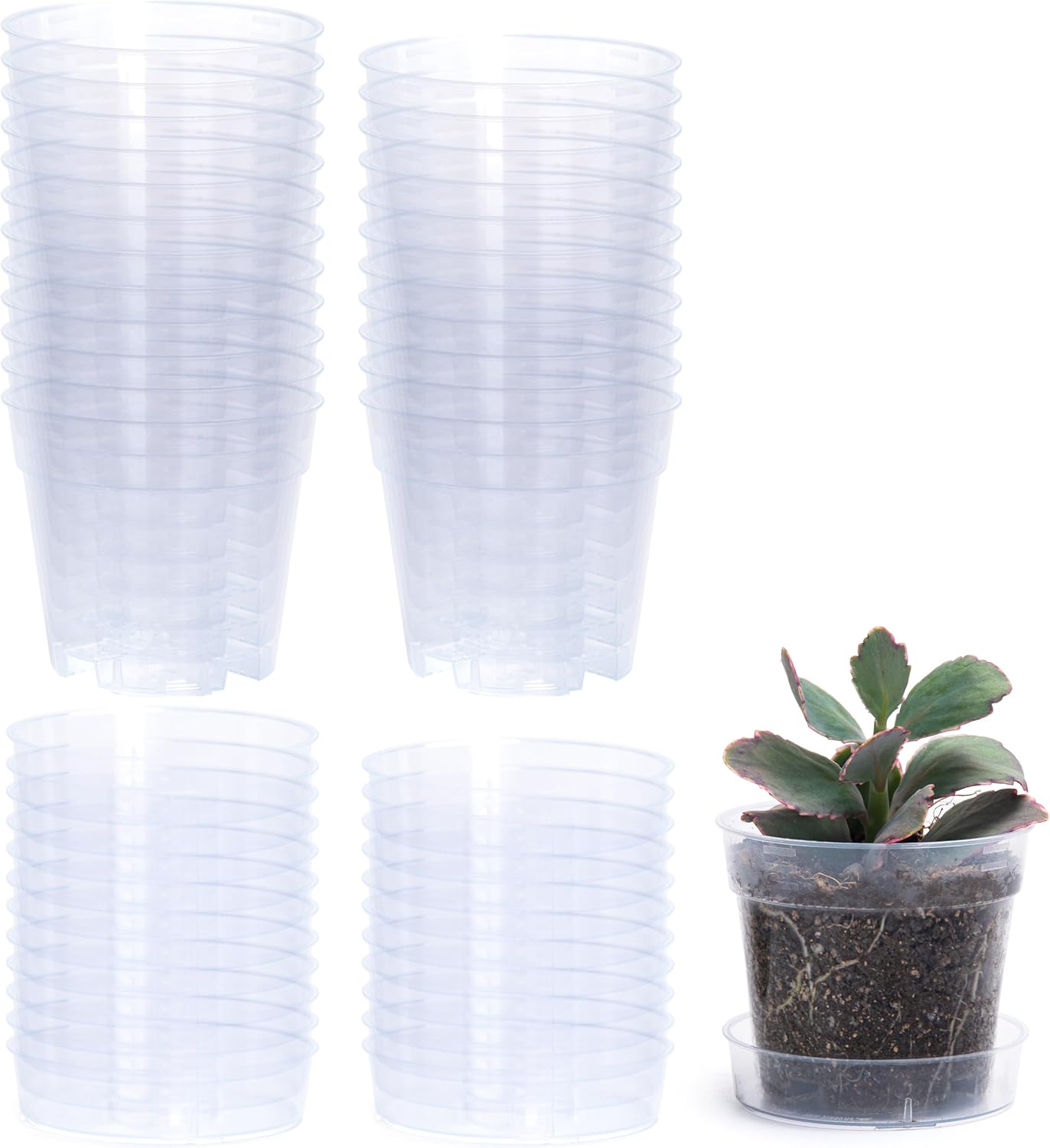 4 Inch Clear Plastic Plant Pot with Drainage Holes for Healthy Growth