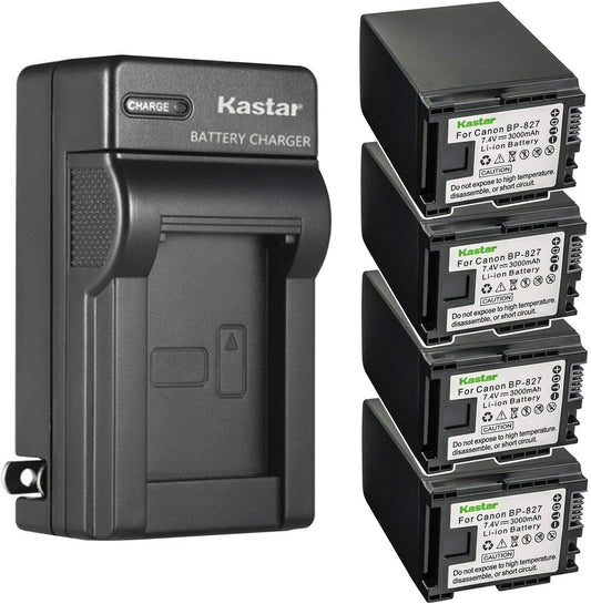 Kastar 4-Pack Battery and AC Wall Charger for Canon Vixia
