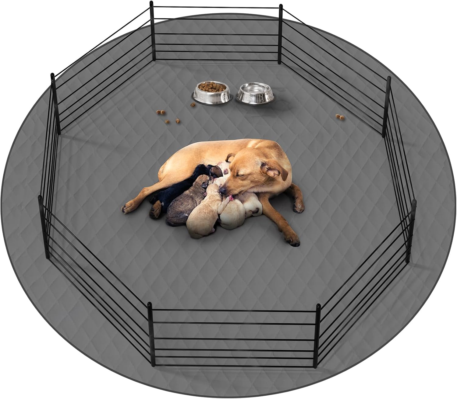 CoolShields Washable Round Puppy Dog Pee Pad for Training