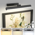 Bridika 13in Black Picture Light for Wall - Battery Operated