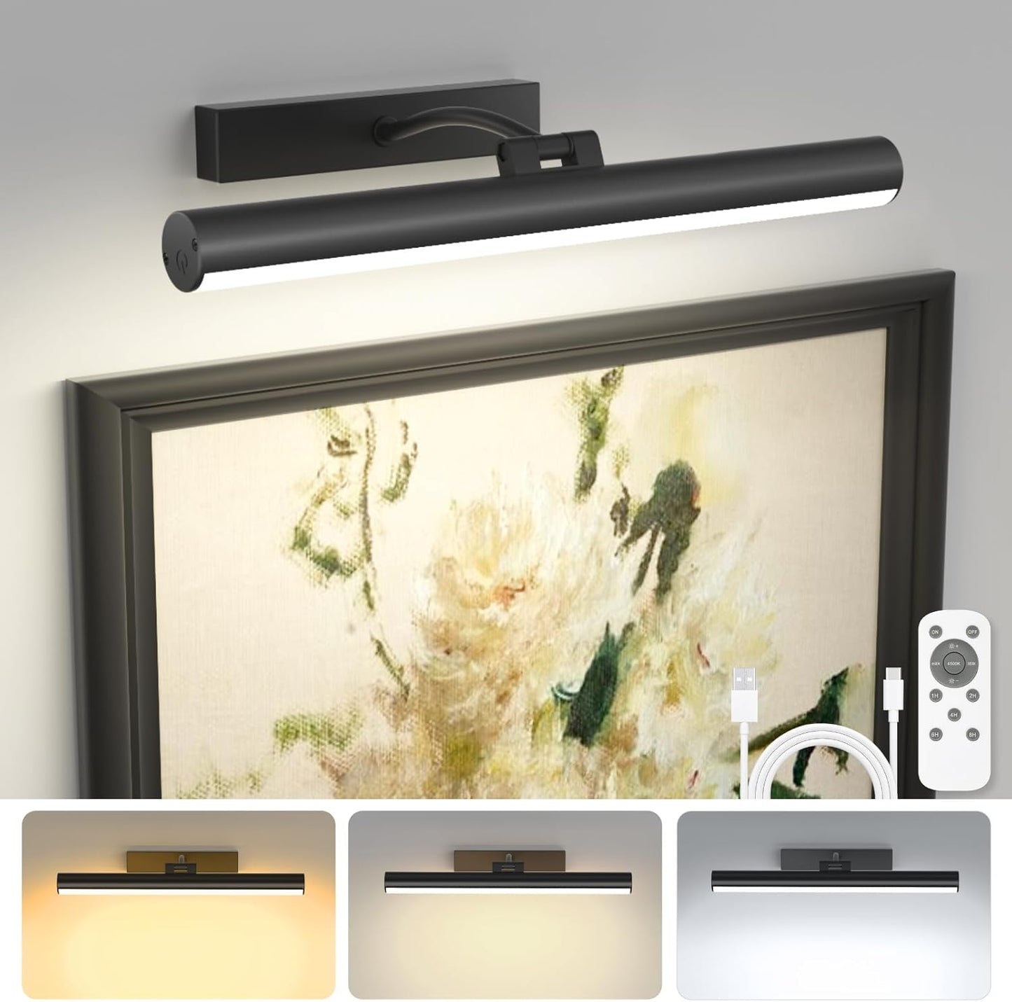 Bridika Picture Lights for Wall with Remote and Dimmable Features