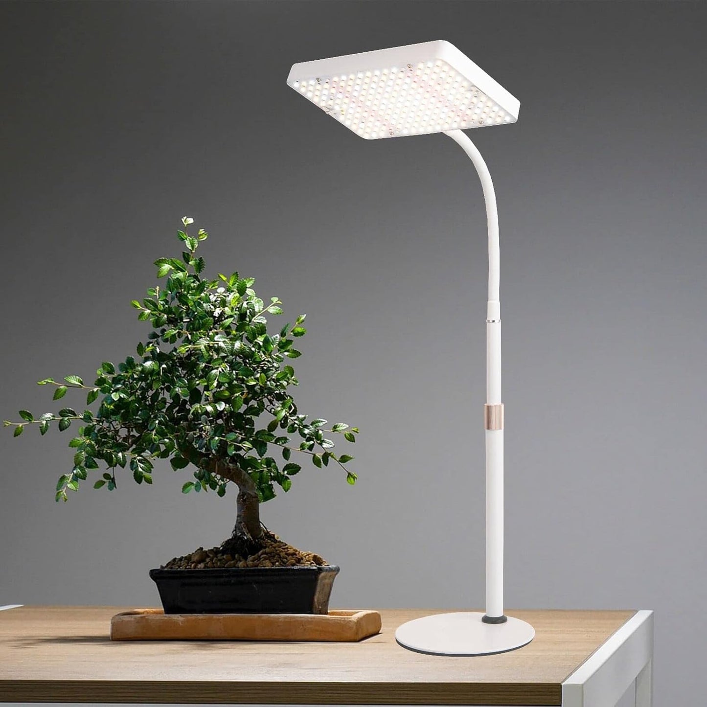 Tabletop Grow Light LED Full Spectrum for Indoor Plants Growth