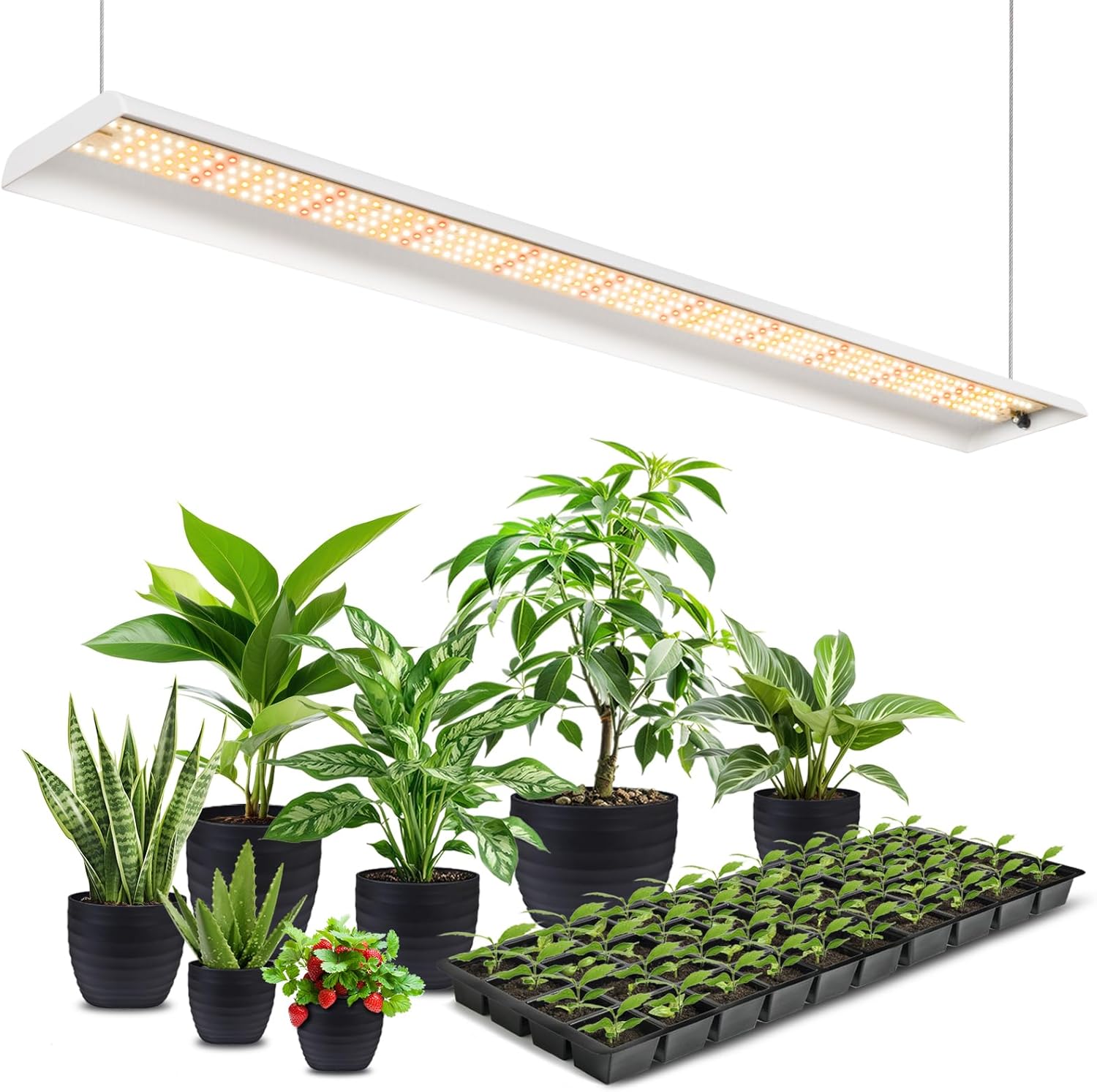 FOXGARDEN 2025 LED Grow Lights - Advanced Spectrum, Timer & Dimming