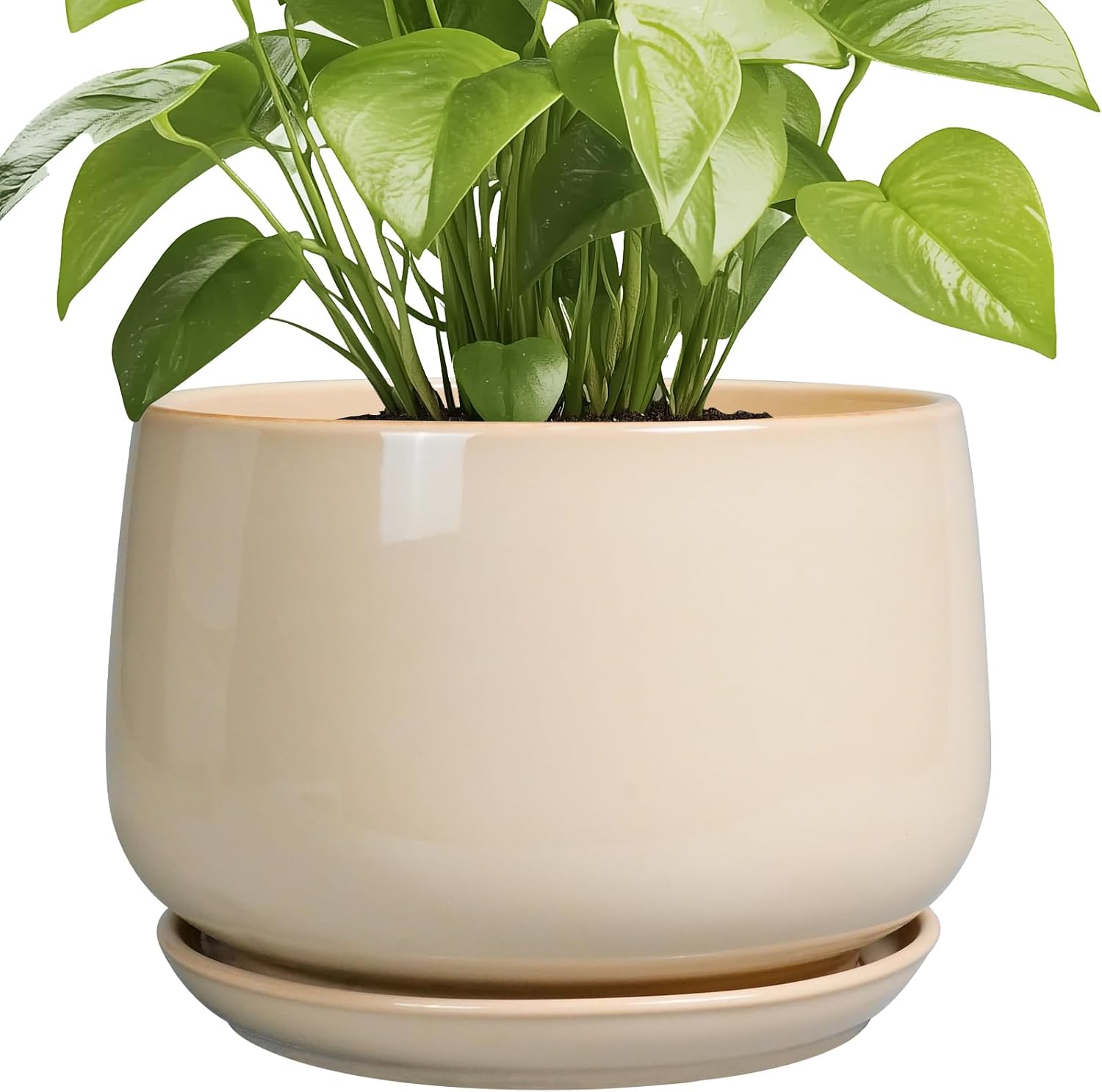 G EPGardening 9 Inch Round Ceramic Plant Pots with Drainage