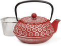Red Floral Cast Iron Teapot Kettle with Infuser for Tea Lovers