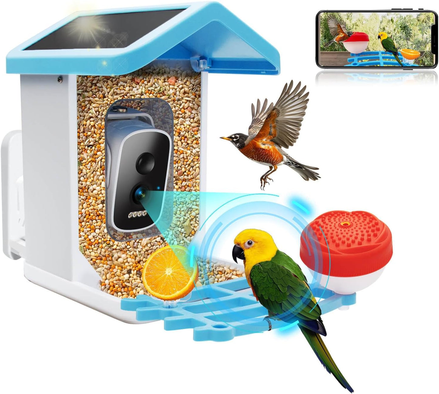 4K AI Bird Feeder with Solar Camera