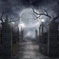 SJOLOON Halloween Backdrop for Stunning Photography and Events