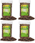 Cilantro Plant Potting Mix - Boost Flavor and Growth