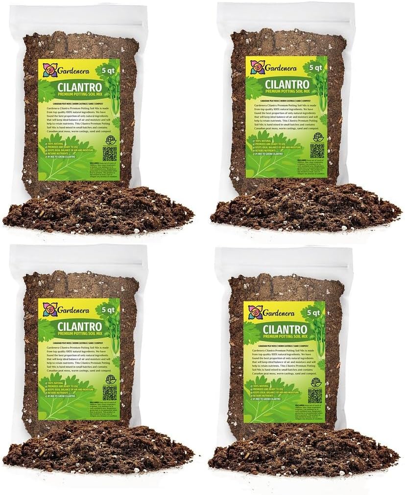 Cilantro Plant Potting Mix for Rich Growth and Flavorful Leaves