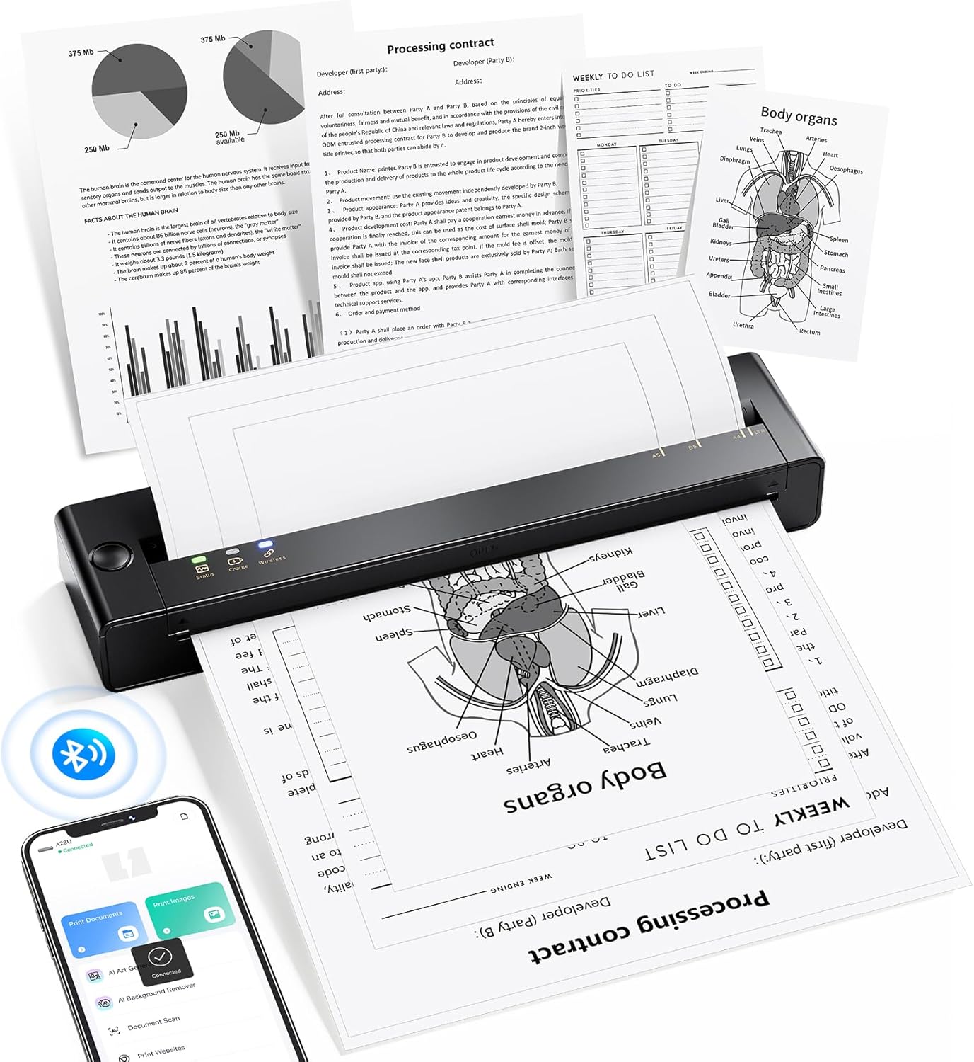 TATTMUSE Portable Printer Wireless for Travel - Inkless Thermal