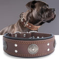 Leather Dog Collar for Large and Medium Breeds, 2 inches Wide