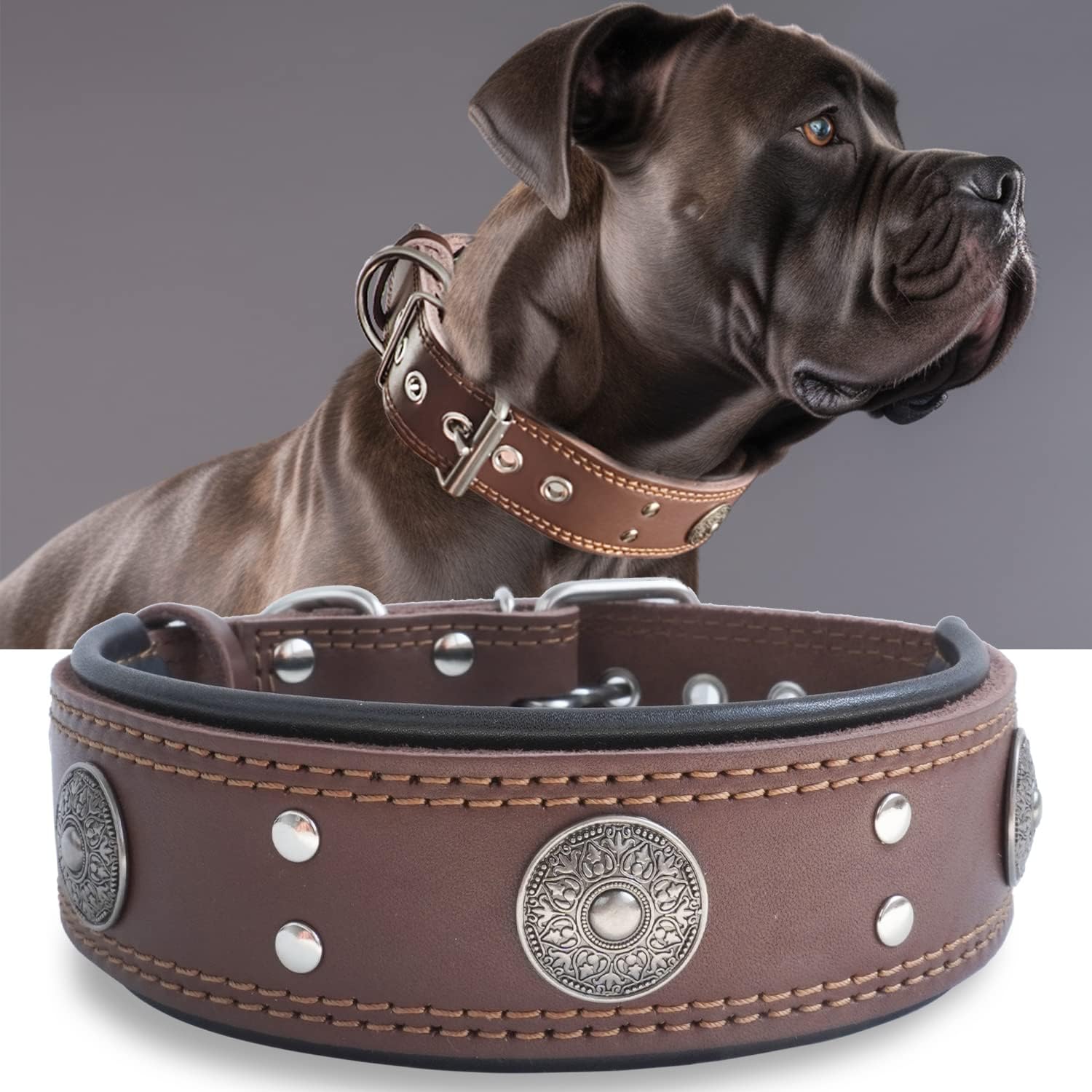 Leather Dog Collar for Large and Medium Breeds, 2 inches Wide