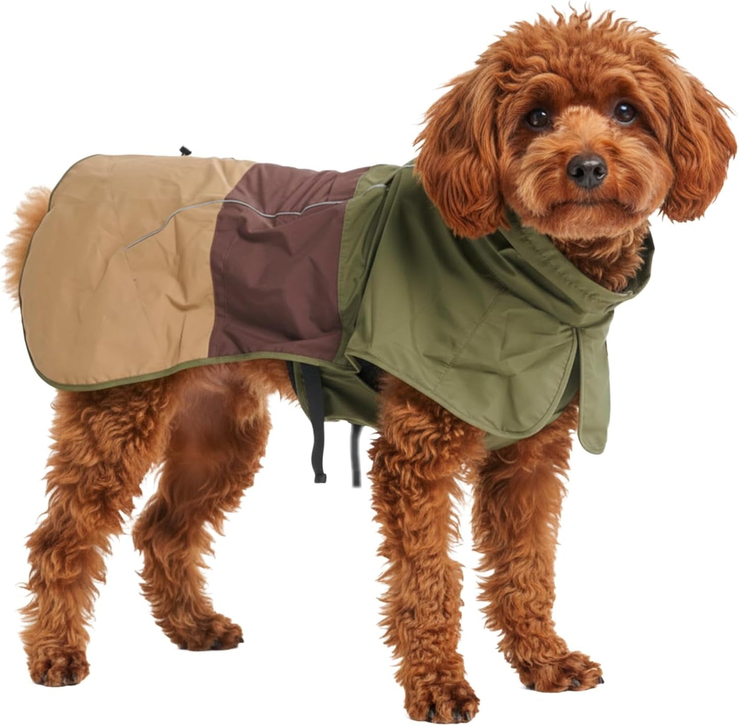Spark Paws Dog Raincoat for All Sizes - Waterproof and Windproof