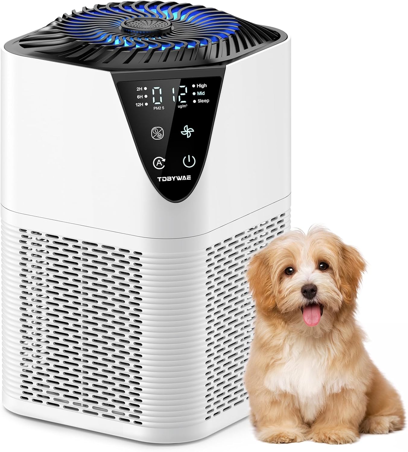 Air Purifiers for Home Large Room with True HEPA Filter