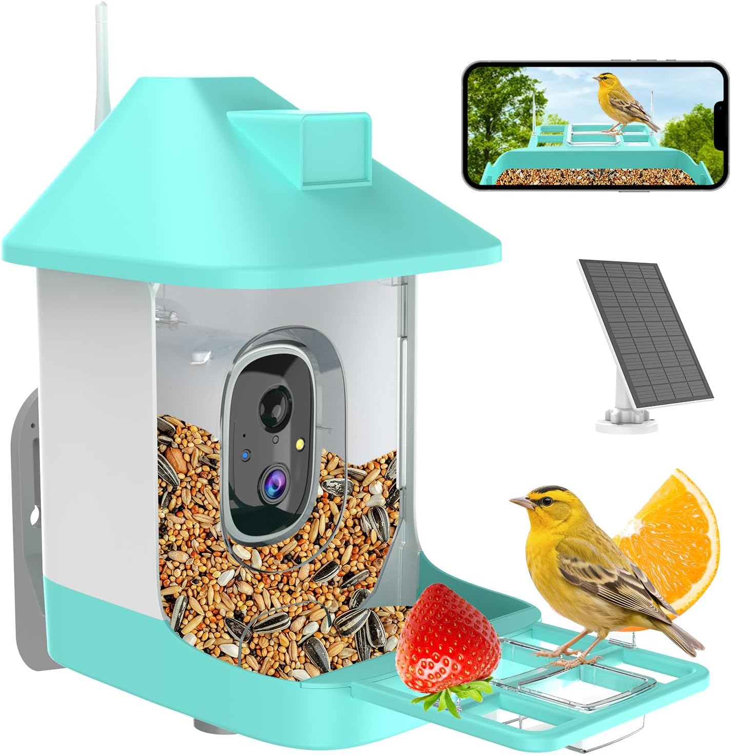 Smart Bird Feeder with Camera for Birdwatching Enthusiasts