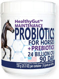HealthyGut Probiotics for Horses Maintenance Formula - Digestive