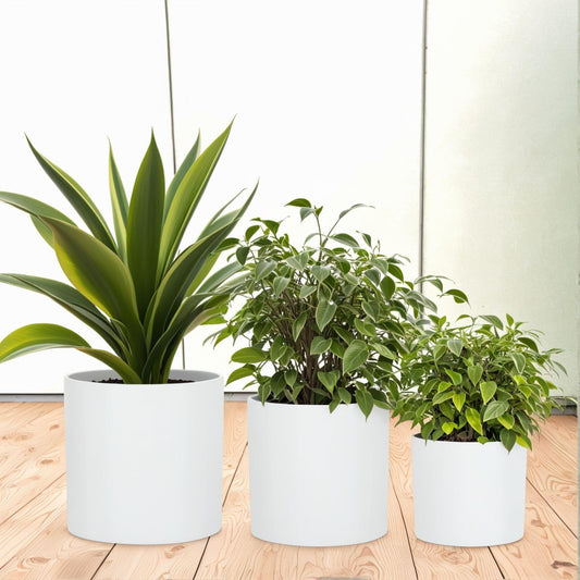 Fox & Fern Matte White Plant Pots Set of 3 for Indoor Outdoor