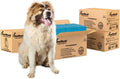 Enormous Dog Training & Potty Pads 37x54 in - 400 Pack