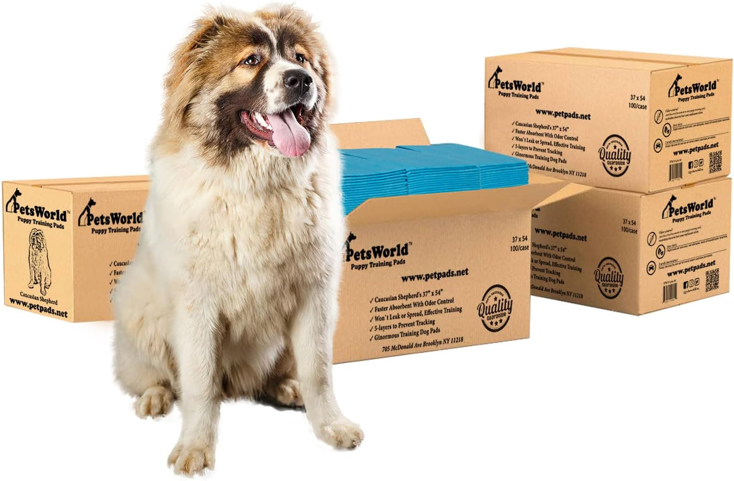 PETSWORLD Enormous Dog Training & Potty Pads for All Pets