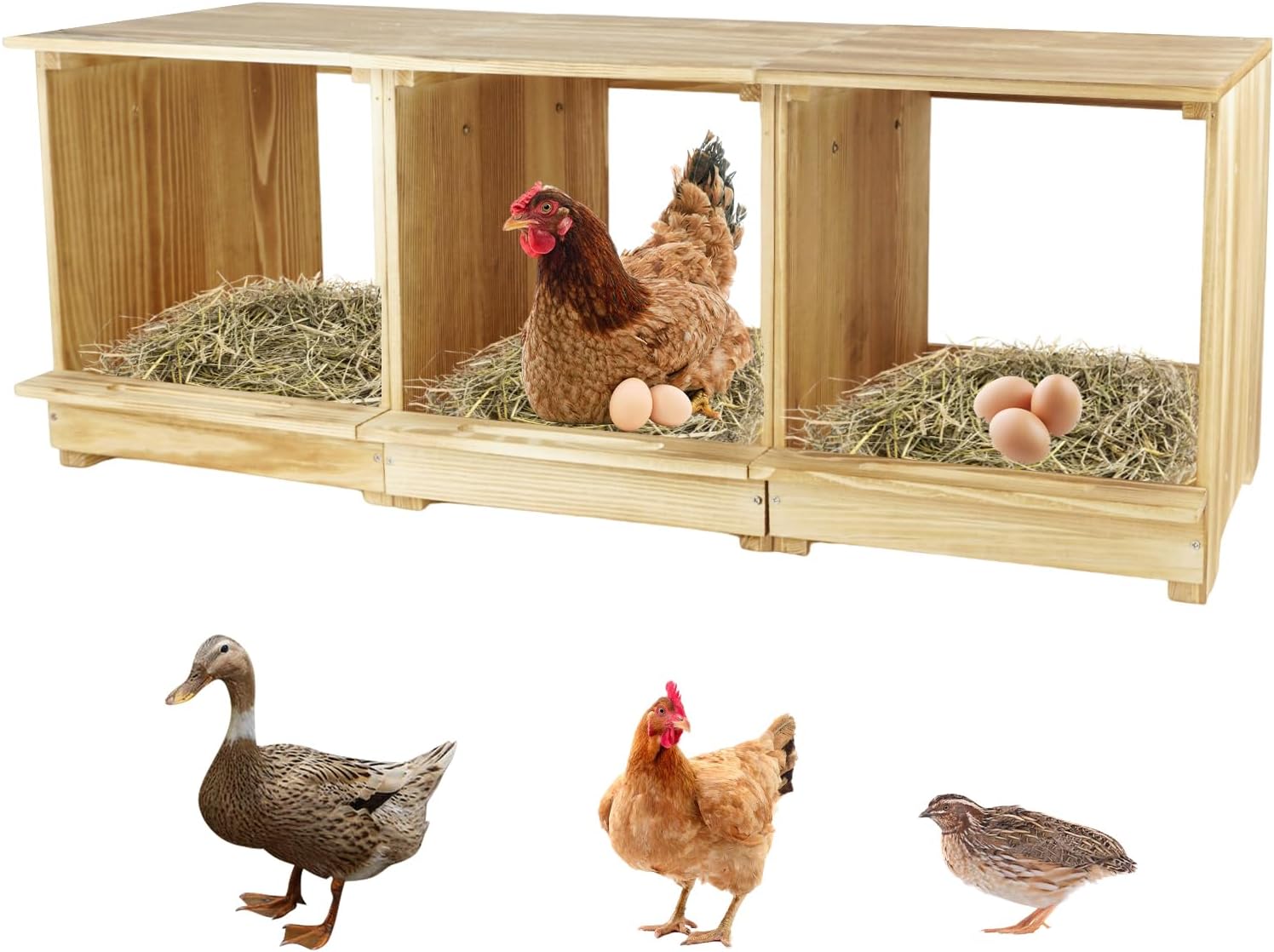 Nesting Boxes for Chickens with 3 Compartments for Hens