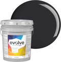 EVOLVE Paint & Primer Black Iron 5-Gallon - Low Sheen, One-Coat