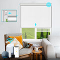 Motorized Blinds AX290 No Drill Roller Shades - Remote Cordless