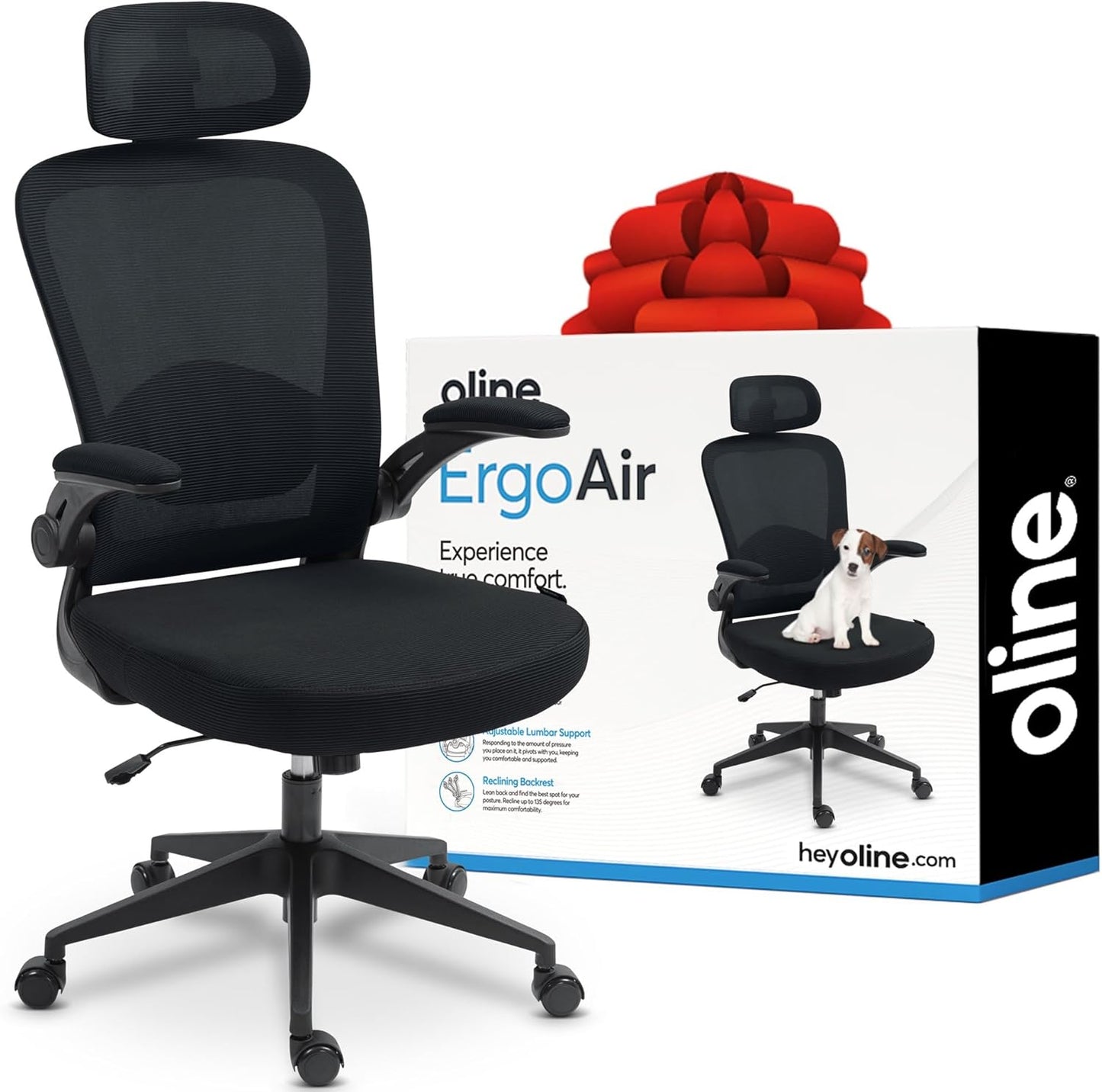 Adjustable Lumbar Support Office Chair - ErgoAir